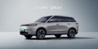 Ivory Gray