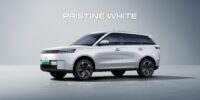 Pristine White
